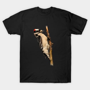 Male Downy Woodpecker on the Pear Tree T-Shirt